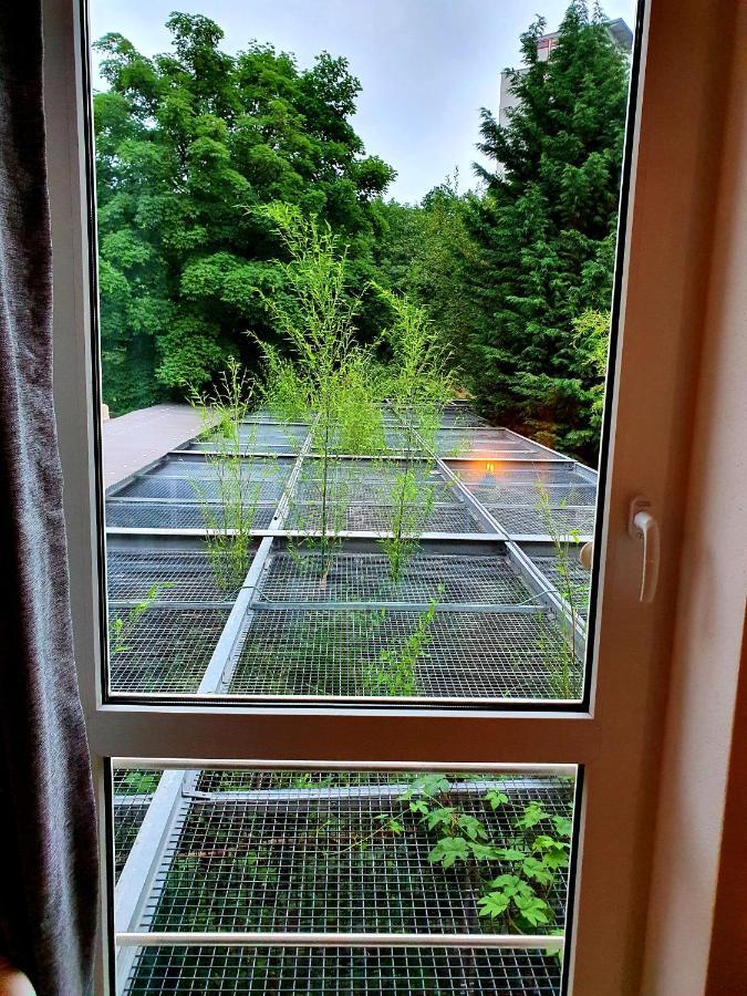 Papageiennest Apartment Dresden Bagian luar foto